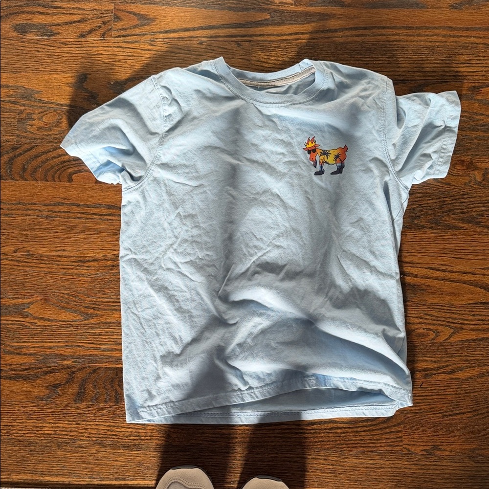 Light Blue Short-Sleeve Kids Tee with Colorful Fox Graphic
